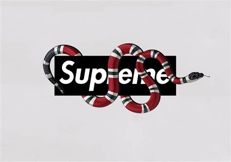 gucci serpente logo wallpaper|supreme gucci snake wallpaper.